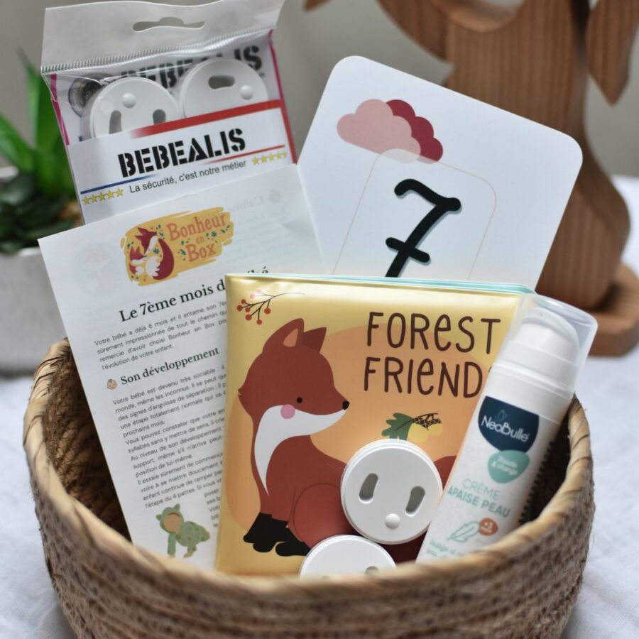 Box bébé mensuelle avec une carte étape, protections pour prises, crème apaise peau bio, et livre de bain renard.