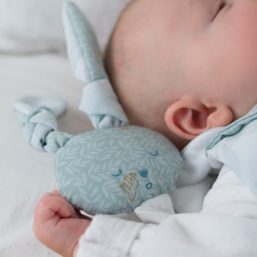 Bébé qui dort avec son doudou feuillage